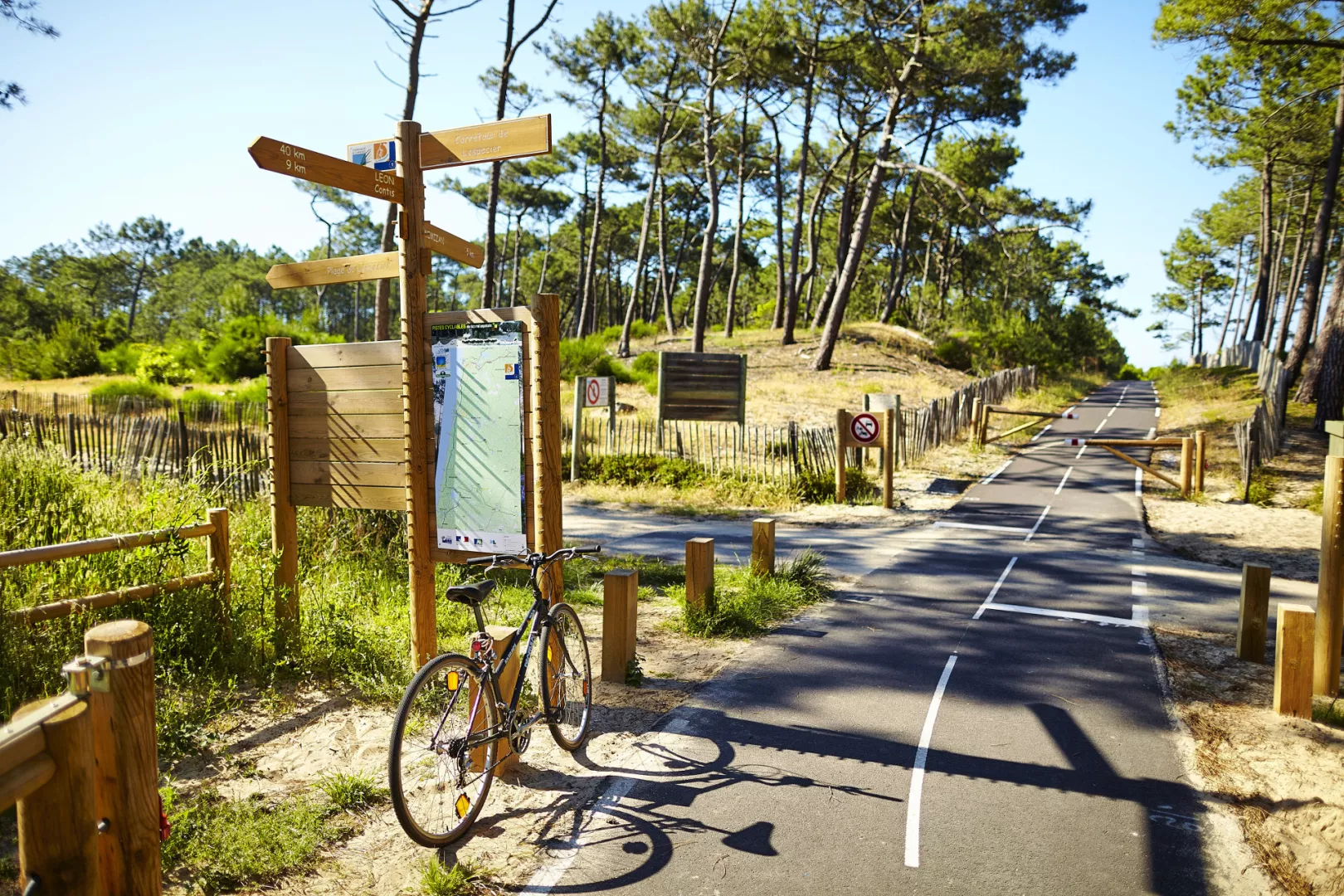 Piste cyclable dans les Landes